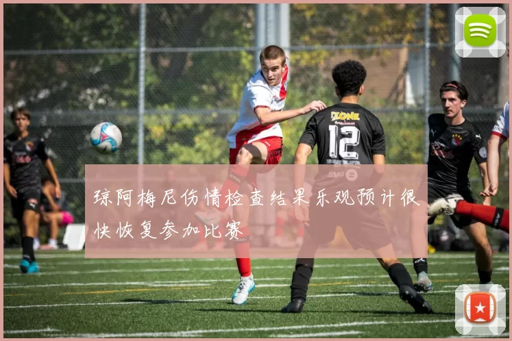 琼阿梅尼伤情检查结果乐观预计很快恢复参加比赛